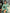 ELAGIA emerald green thigh-slit maxi dress close-up texture - 3 piece women's suit elegance in dress form