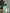 ELAGIA green maxi dress movement shot showing slit detail - purple business suit women sophistication
