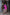 ELAGIA Fuchsia Wrap Long Sleeve Mini Dress back view showing 3 piece women's suit styling and fit details