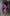 ELAGIA Fuchsia Wrap Long Sleeve Mini Dress side angle featuring purple business suit women professional look