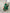 ELAGIA Emerald Silk Long Sleeve Maxi Dress lifestyle shot with accessories - 3 piece women's suit outfit